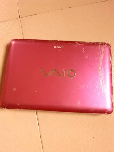 Sony Viadeo Mini laptop